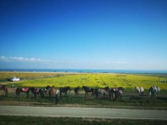 -青海湖国家重点风景名胜区