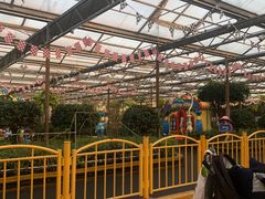 -南宫五洲植物乐园