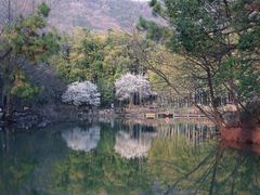 -宝岩生态观光园