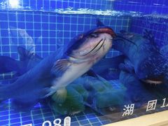 -七采菌园·野生菌石锅鱼(环城北路店)