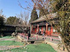 -月坛公园