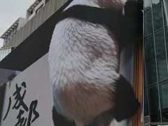 -合景·悠方(成都店)
