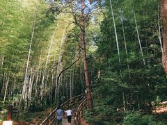 -青龙山国家森林公园