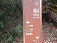 -海南霸王岭国家森林公园