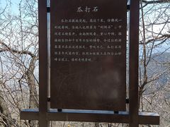 -阳台山自然风景区