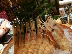 -蟹将军·松叶蟹和牛日料放题自助(K11店)