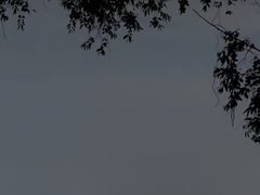 -火炉山森林公园
