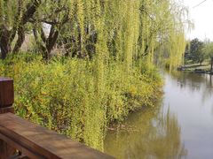 -上海滨江森林公园