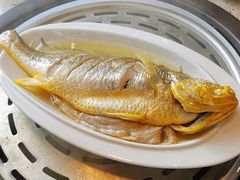 海捕黄花鱼-四海蒸鲜蒸汽海鲜自助(北戴河店)