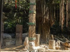 -广州长隆野生动物世界