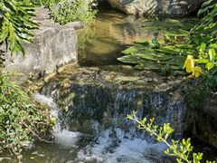 -广州神农草堂中医药博物馆