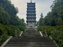 -宜兴龙背山森林公园