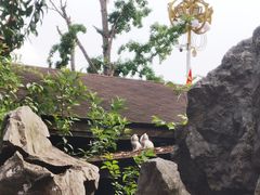 -皇罗禅寺