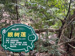 -呀诺达热带雨林