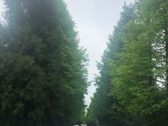 -山王坪喀斯特国家生态公园