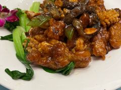 -大连湾旭日·家宴·海肠捞饭(马栏广场店)