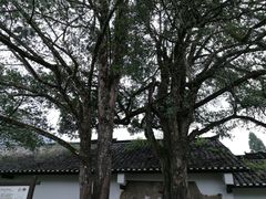 -毛泽东同志旧居