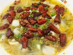 -鱼你在一起(新森兰花园城店)