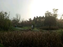 -白鹭湾湿地公园