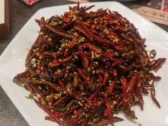 干煸牛肉丝-马海涛牛肉串·午市牛腩饭·烧烤夜宵(领汇广场店)