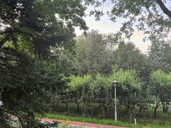 -望湖公园