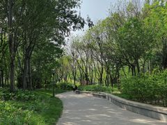 -北极寺公园