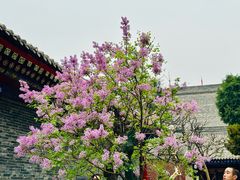 -西安市广仁寺