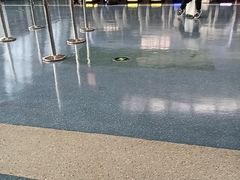 -陇兴楼(西安咸阳国际机场店)