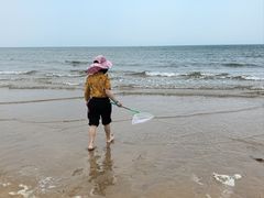 -日照海滨国家森林公园