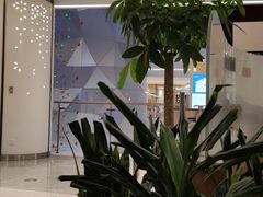 -蜀腾川·火锅鱼.烤鱼(新世界城店)