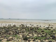 -北海金海湾红树林生态旅游区