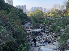 -桃花岭景区