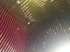 -乐圣量贩KTV自助餐(崇文店)