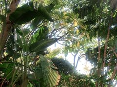 -厦门途易蓝罗约海景温泉酒店(园博苑地铁站店)