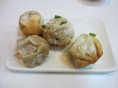 鲜肉生煎-咬不得高祖生煎·简餐(高银街店)