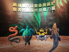 -成都动物园