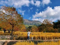 -塔川景区