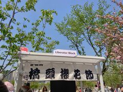 -西北湖绿化广场