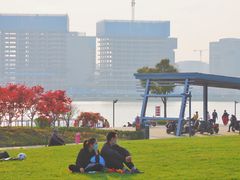 -郑东新区龙湖公共艺术中心