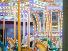 -巨鹏飞梦幻海岸