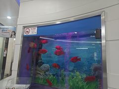 -雅悦齿科(顾村公园店)