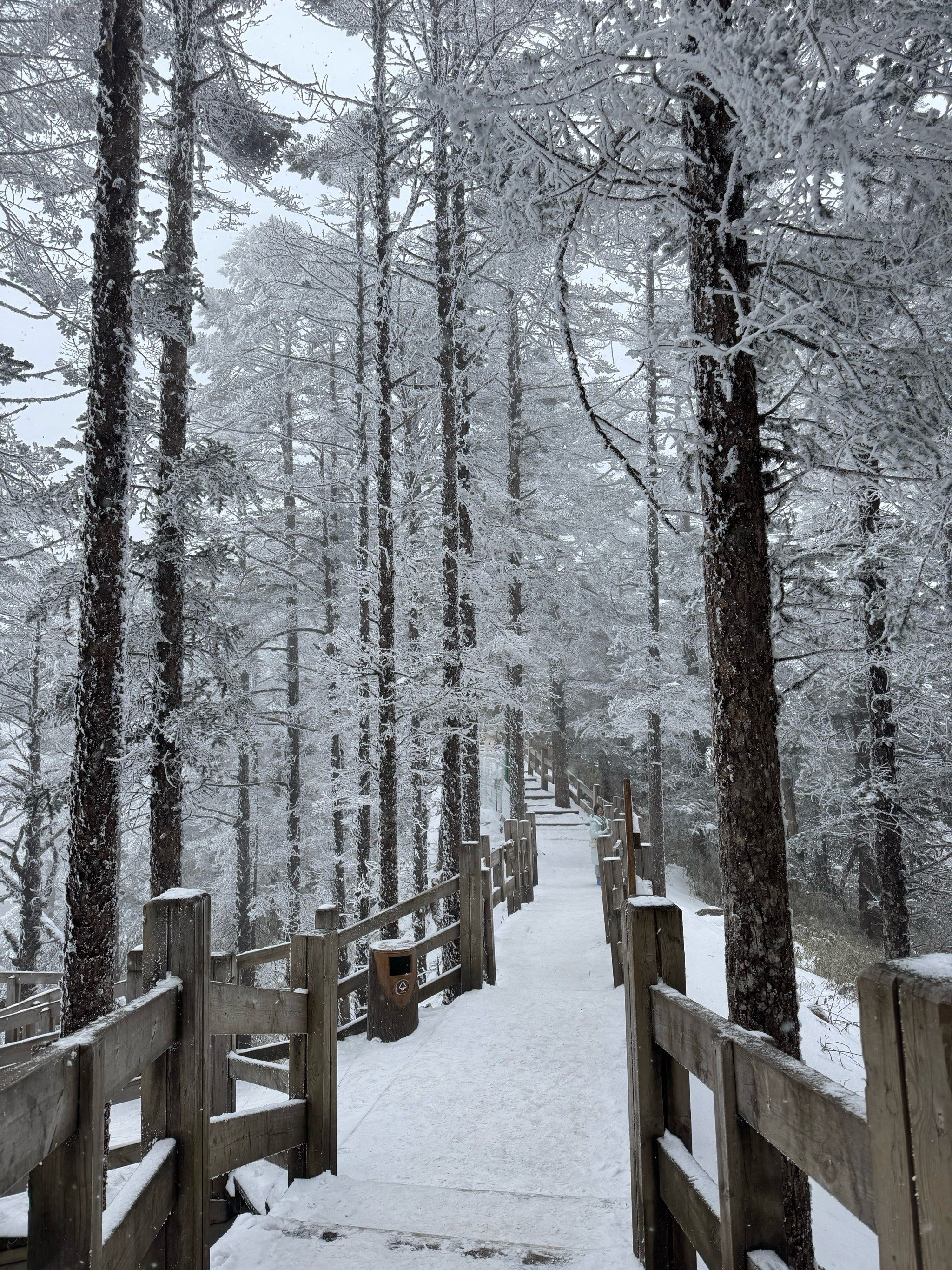 山间雪景,美到窒息