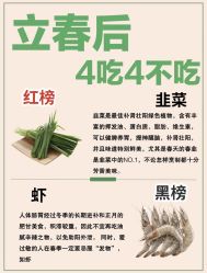 -Fundi张玉珊修身堂·indiba·BTL科技瘦身