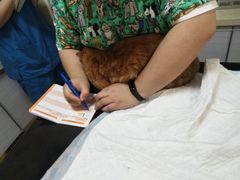 -派特宠物医院(圆融广场店)