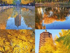 -玲珑塔公园