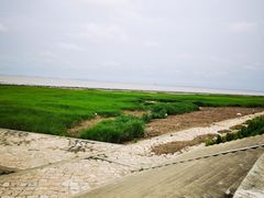 -南汇嘴观海公园