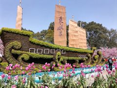 -南山植物园