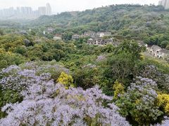 -张坝桂圆林公园