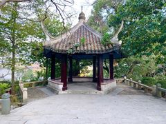 -江心屿景区