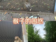 -长白岛森林公园